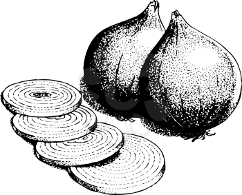 Onions Clipart
