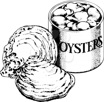 Oysters Clipart