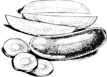Dill Clipart