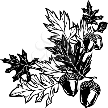 Acorns Clipart