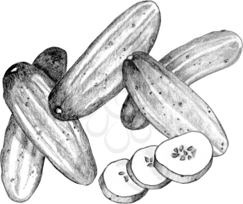 Cucumbers Clipart