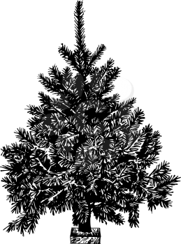 Pinetree Clipart
