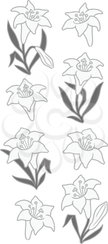 Lilies Clipart