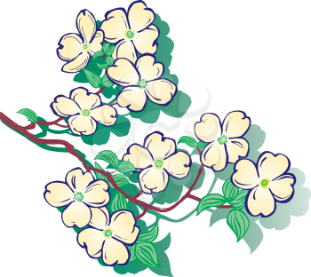 Dogwood Clipart