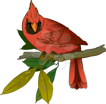 Carolina Clipart