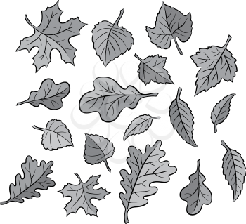 Leaves Clipart