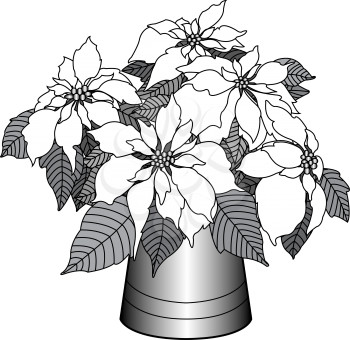 Poinsettia Clipart