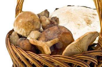 Mushrooms in the wicker woven basket over white