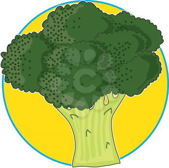Royalty Free Clipart Image of Broccoli