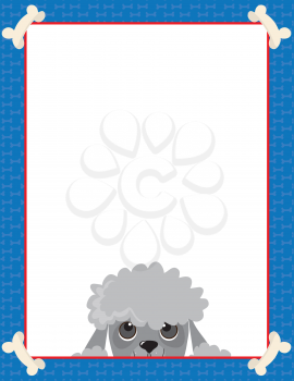 A frame or border featuring the face of a Poodle