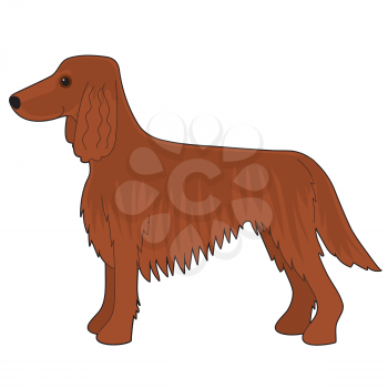 A cartoon illustration of an Irish Setter dog