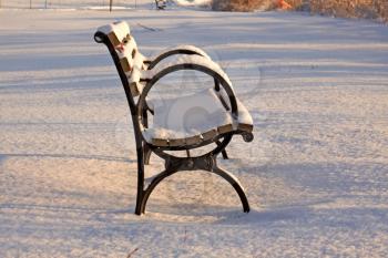 Snow covered park bench at early morning light.