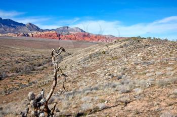View of dry landscape and red rock formations of the Mojave Desert.