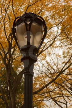 New York City Central Park alley in the Fall.