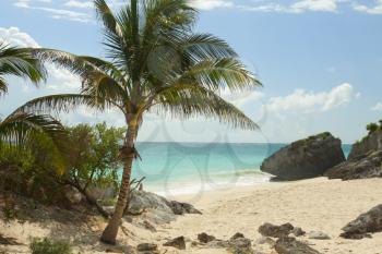 A view of the caribbean beach.