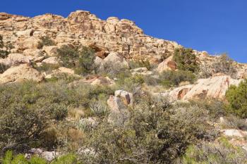 View of dry landscape and red rock formations of the Mojave Desert..