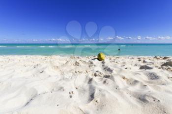 View of Caribbean beach with palm trees.