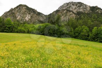 View of Bavarian Alps.