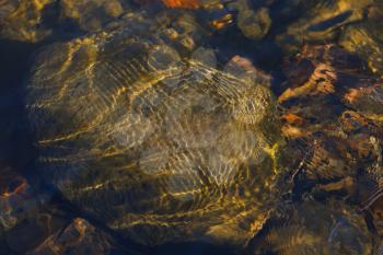 Pristine water flow of the rocky mountain creek.