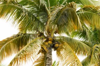 View of a tropical Caribbean Island paradise.