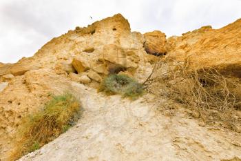 Ein Gedi Nature Reserve in Israel.