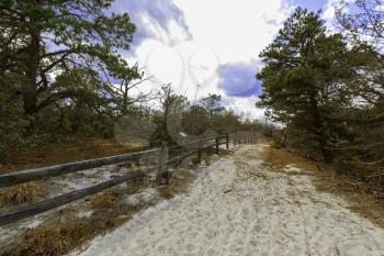 Sandy beach.