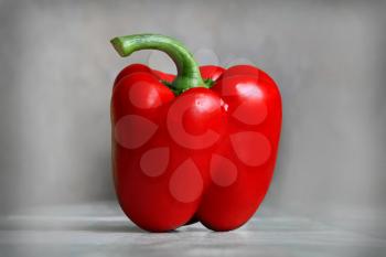 Red sweet pepper on a gray background