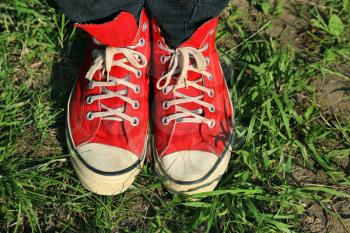 Feet in red sneakers in green grass