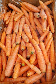 Bright orange color of carrots close up on market 
