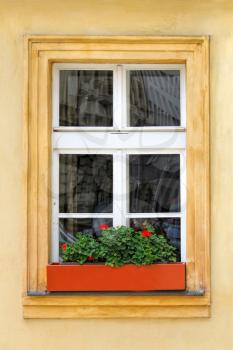 Window of old house with geranium flowers, close-up