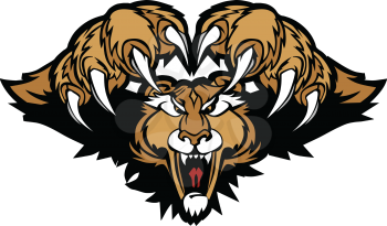 Cougars Clipart