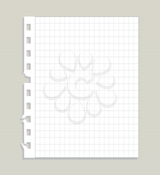 Illustration of blank ripped paper isoalted on white background