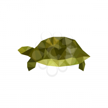Illustration of green origami turtle isolated on white background
