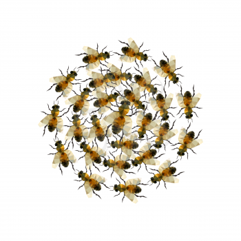 Modern origami illustration with a grup of honeybees isolated on white background