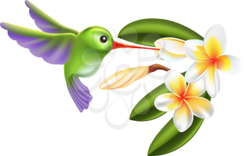 Royalty Free Clipart Image of a Hummingbird 
