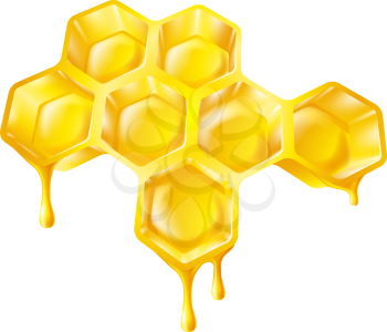 Illustration of bee's honeycomb with honey dripping off it