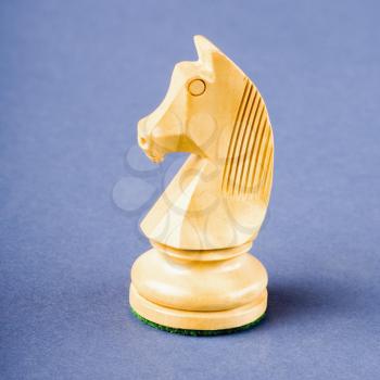 Close-up of a knight chess piece