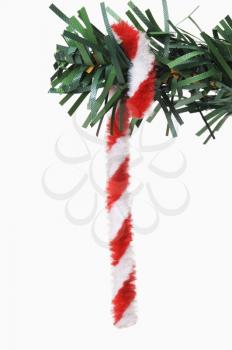 Close-up of a cane hanging on a Christmas tree