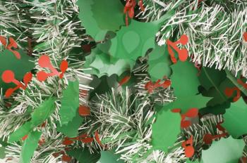 Close-up of a Christmas Mistletoe leaves