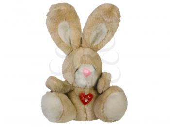 Close-up of a stuffed bunny toy