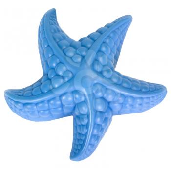 Close-up of a toy starfish