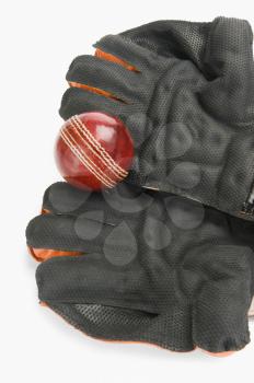 Close-up of a cricket ball on wicket keeping gloves