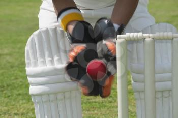 Wicket keeper standing behind stumps and catching a ball