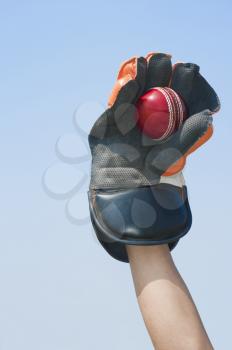 Wicket keeper catching a ball