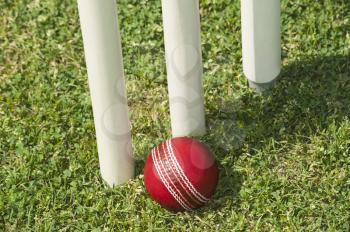 High angle view of a cricket ball near stumps