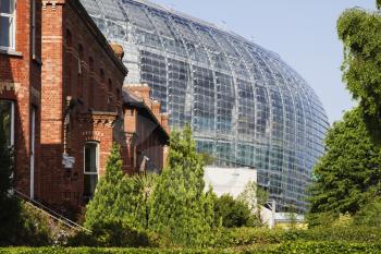 Trees near a stadium, Aviva Stadium, Dublin, Republic of Ireland