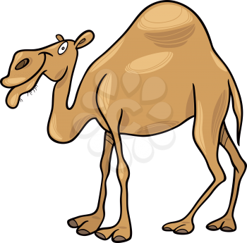 Royalty Free Clipart Image of a Camel