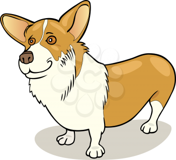 Royalty Free Clipart Image of a Welsh Corgi
