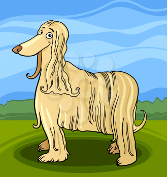 Cartoon Illustration of Funny Long Hair Afghan Hound Dog