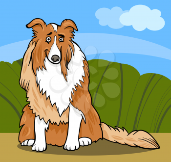 Cartoon Illustration of Funny Collie Purebred Dog